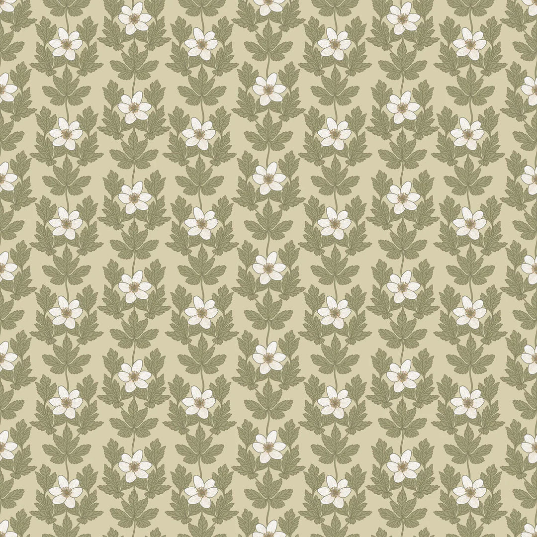 Summer Gray Wood Anemone Wallpaper Wood Anemone Beige - Hola BB