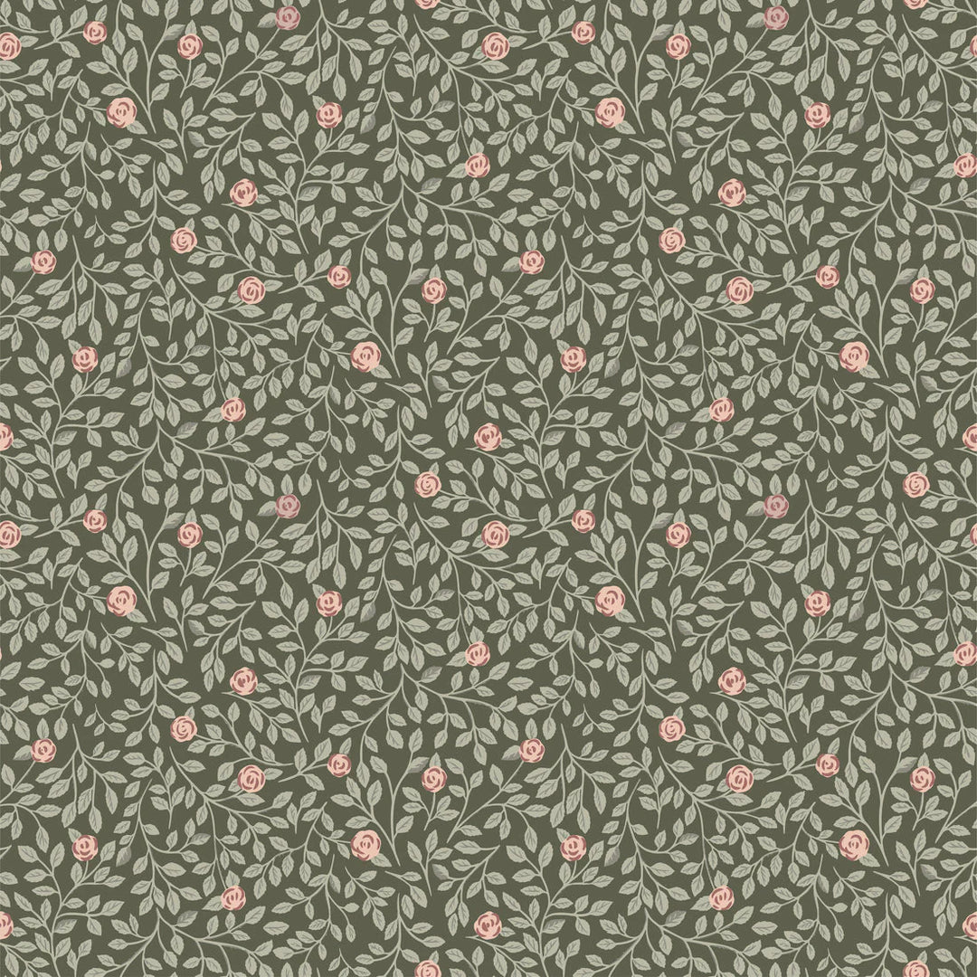 Summer Gray Climbing Rose Wallpaper Climbing Rose Green - Hola BB
