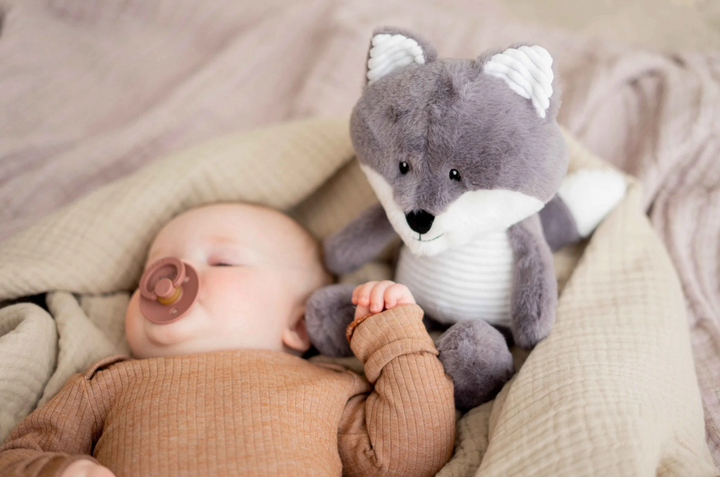 Robin - Herzschlag-Schmusedecke