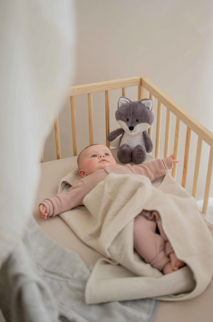 Robin - Herzschlag-Schmusedecke